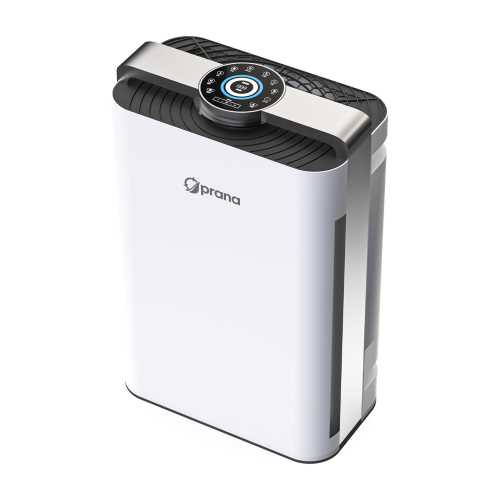 Очиститель воздуха PRANA Air Cleaner PRO