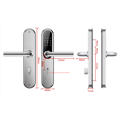 Біометричний SMART-замок на вуличні та міжкімнатні двері з нержавіючої сталі Ttlock SHELTER FP